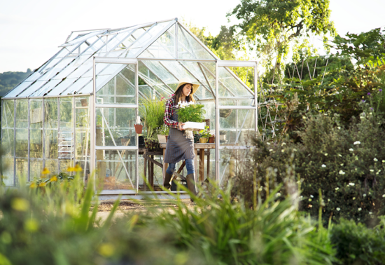 4mm Clear Twin-wall Greenhouse Sheet Cut To Size