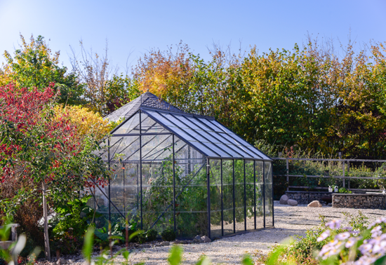 3mm Clear Solid Polycarbonate Greenhouse Sheet Cut to Size