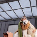 Polycarbonate for Roofing – Are Polycarbonate Roofs any good?